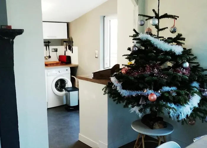 Charmante Maison Avec Jardin Et Wifi Inclus - Fr-1-497-133